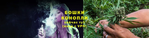 PSILOCYBIN Волоколамск